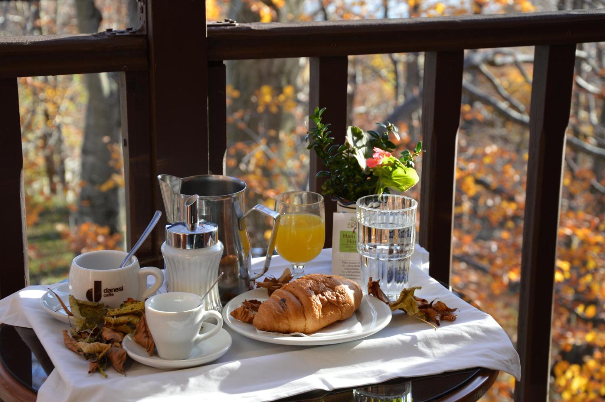 Hotel Hani Zisi Ханя Стая снимка