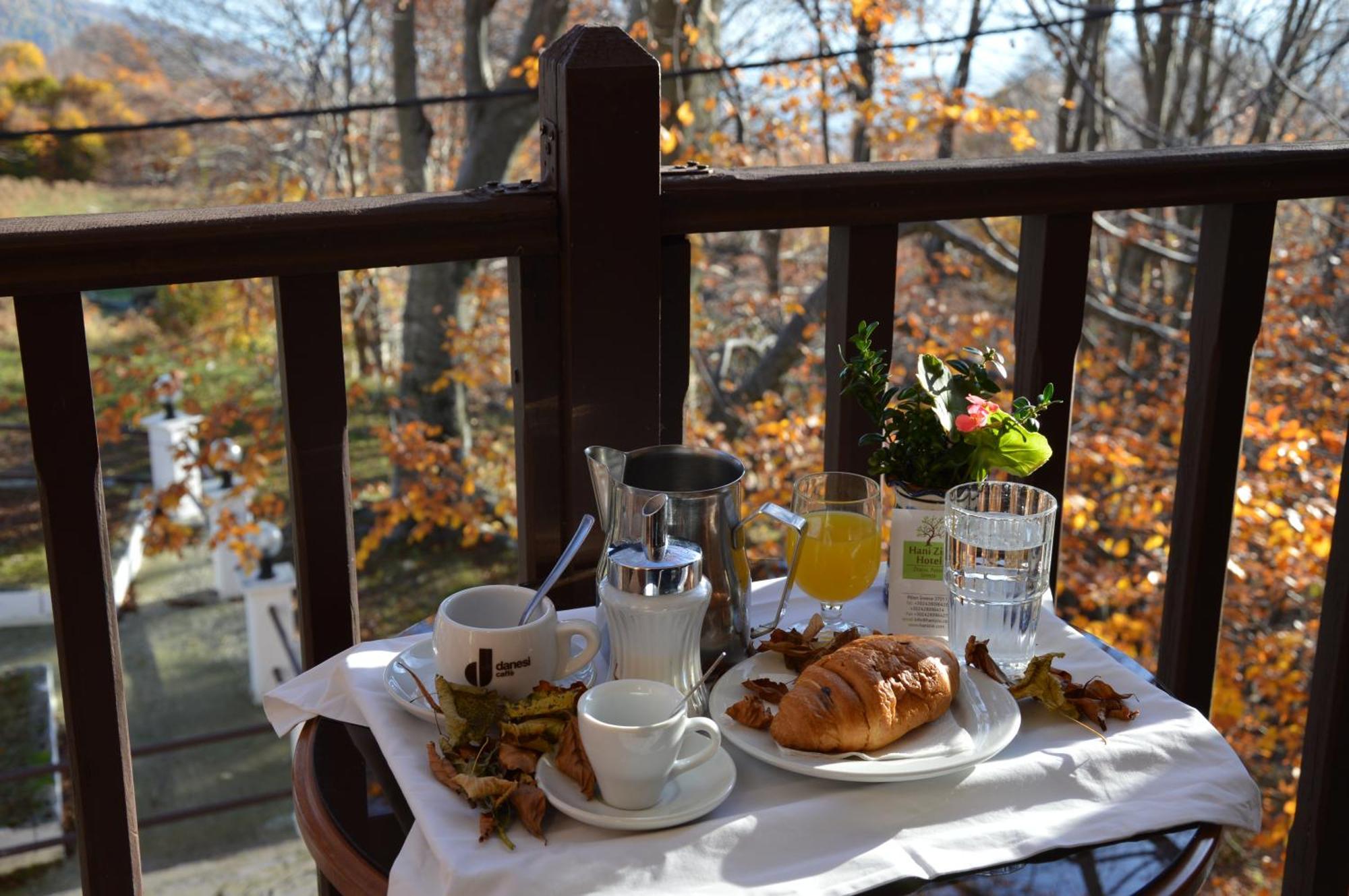 Hotel Hani Zisi Ханя Стая снимка