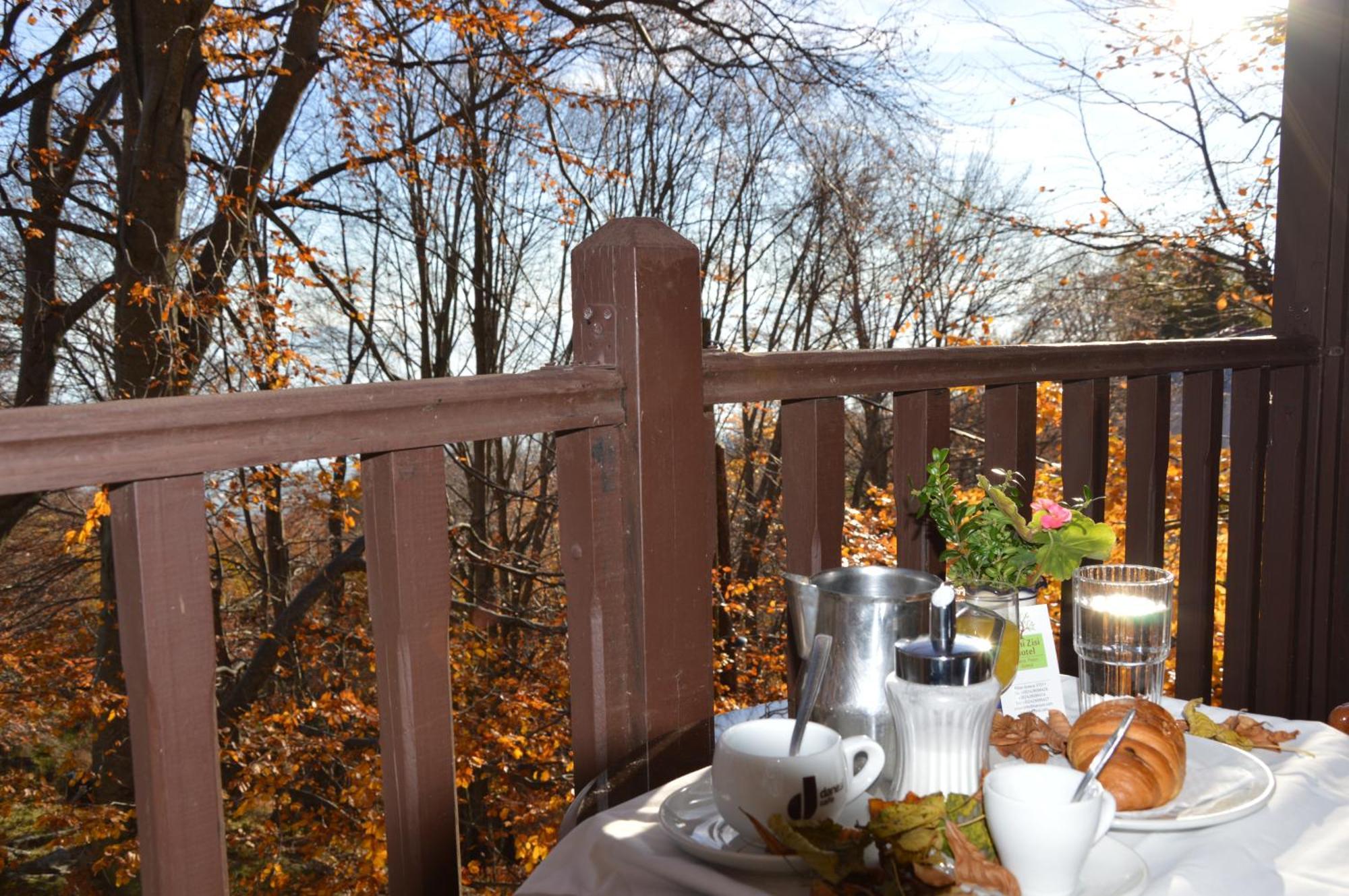 Hotel Hani Zisi Ханя Стая снимка
