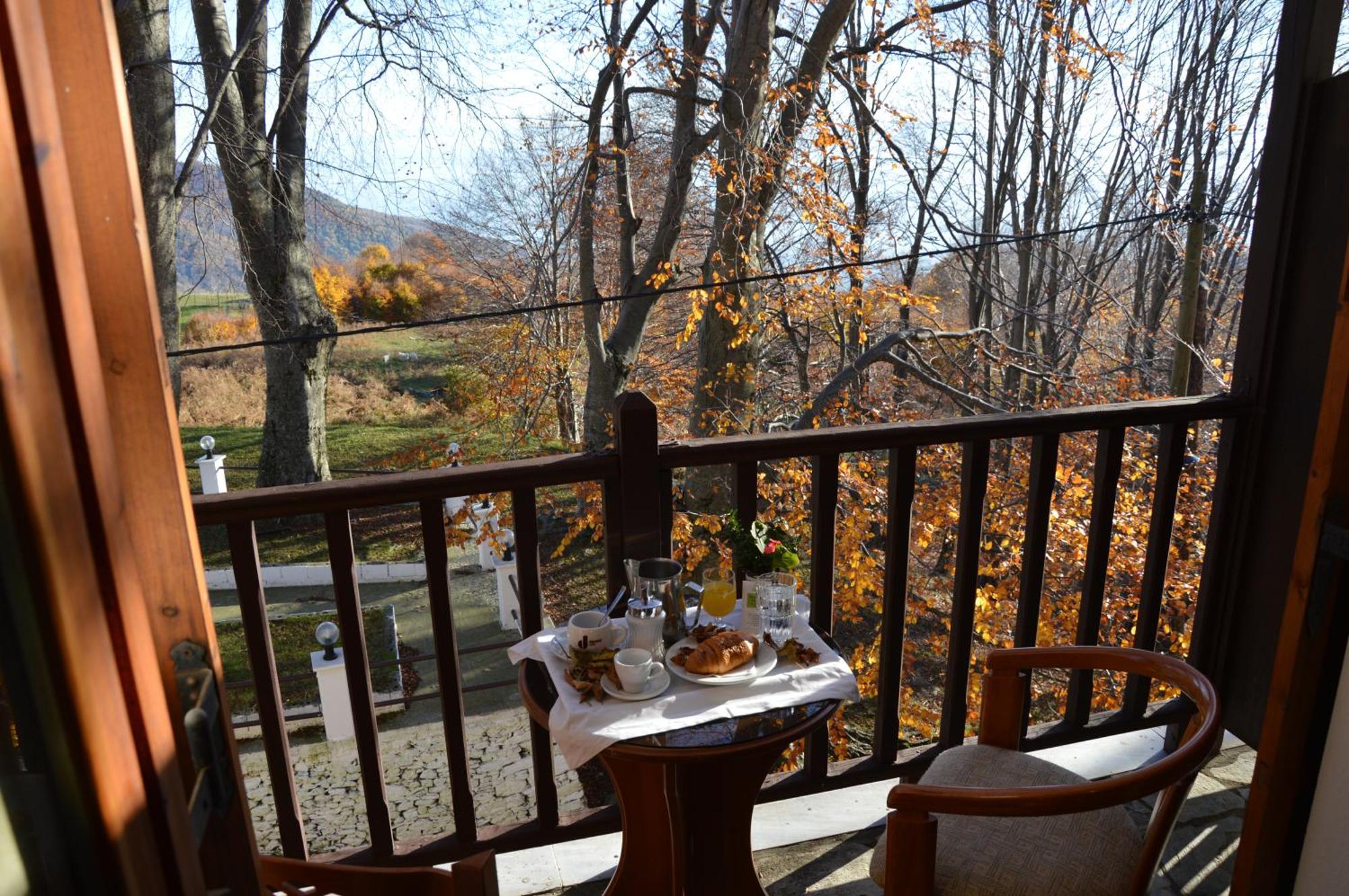 Hotel Hani Zisi Ханя Стая снимка